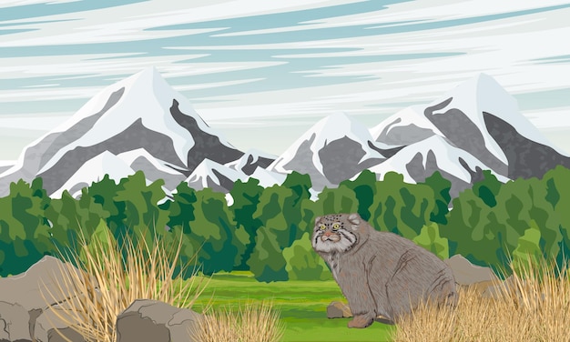 Vector pallass cat walks through a valley with grass and bushes at the foot of the mountains