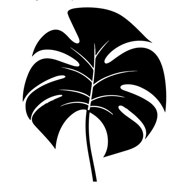 Vector palm banana leaf silhouette vector