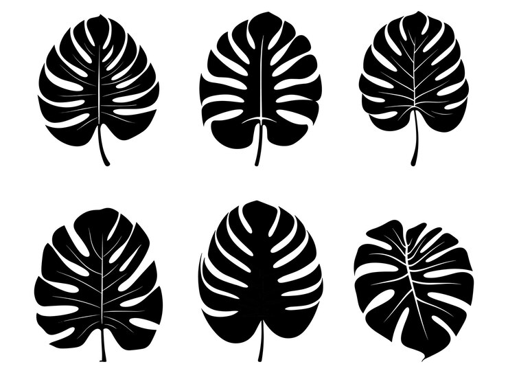 Vector palm banana leaf silhouette vector