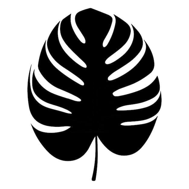 Palm banana leaf silhouette vector