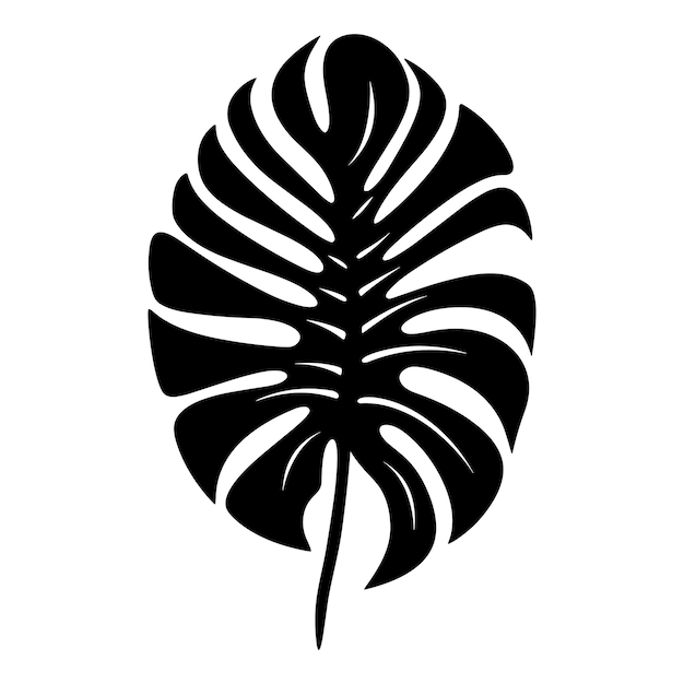 Vector palm banana leaf silhouette vector