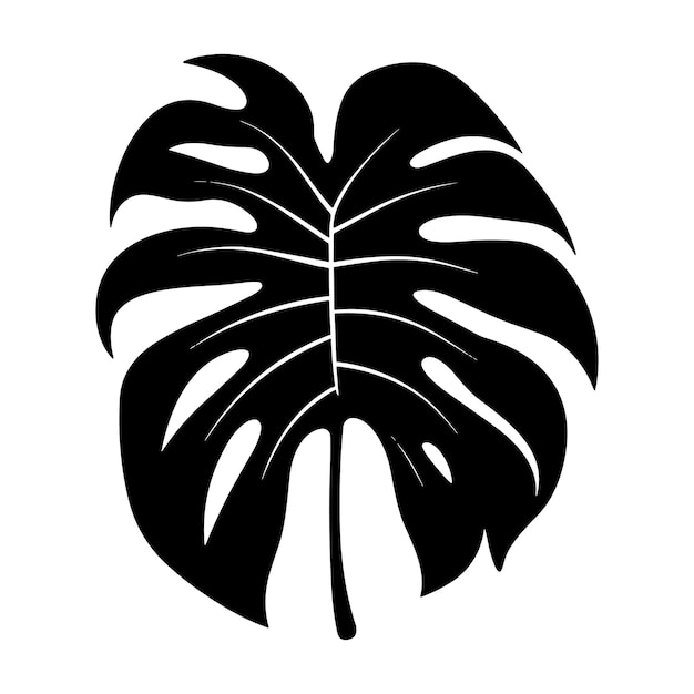 Vector palm banana leaf silhouette vector