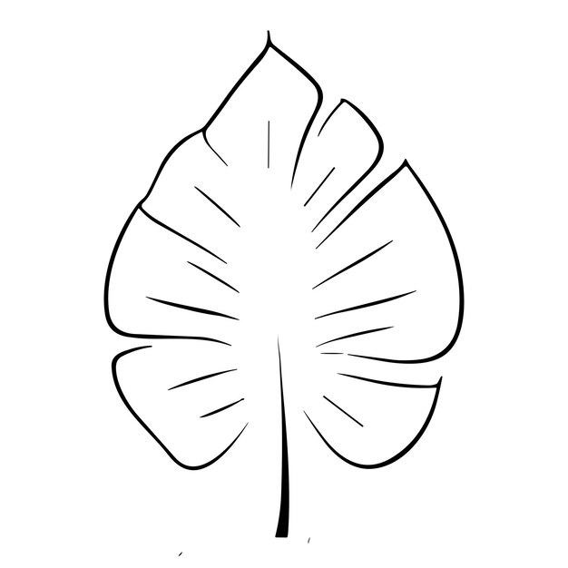 Vector palm banana leaf silhouette vector