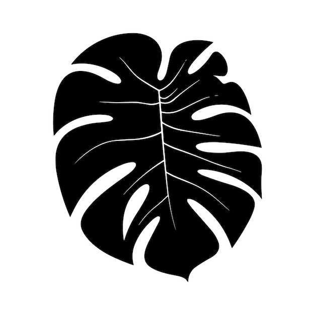 Vector palm banana leaf silhouette vector