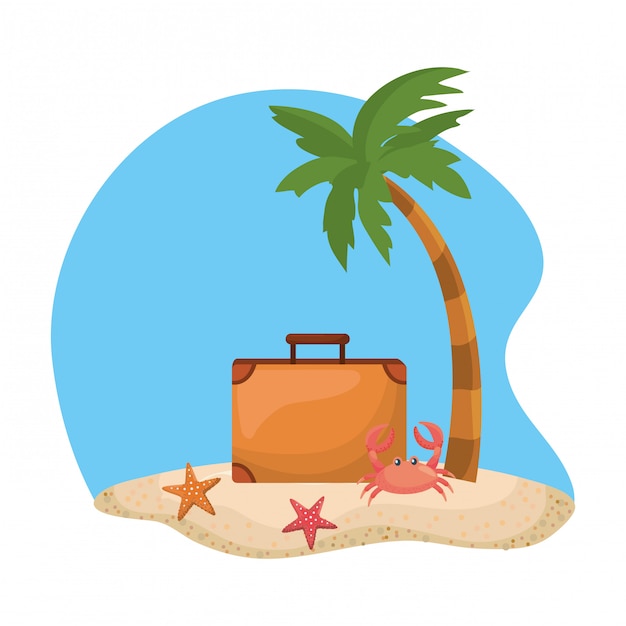 Palm en zomer pictogramserie