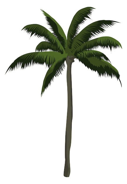 Palm icon Exotic tropical tree Beach symbol