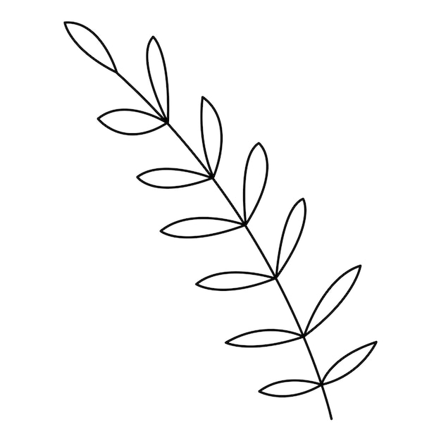 Palm leaf abstract in doodle style Black and white vector illustration