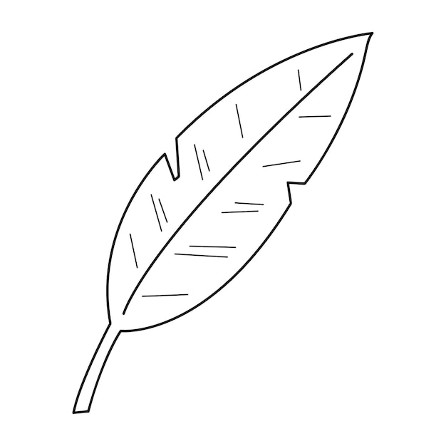 Palm leaf in doodle style7 Black and white vector illustration