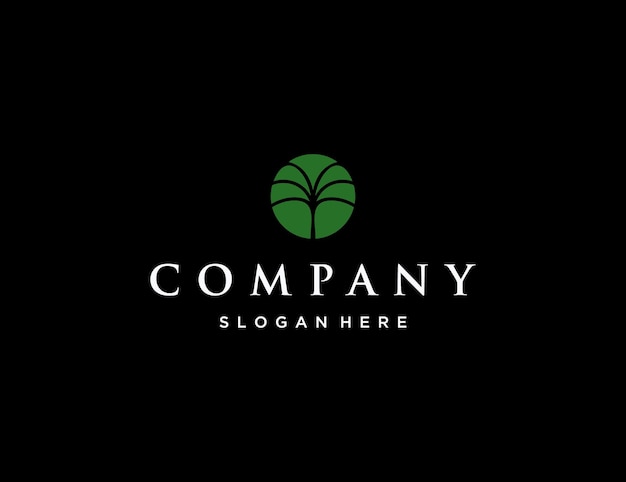 Palm leaf logo design template