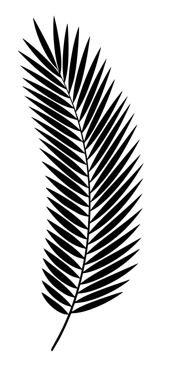 Vector palm leaf silhouette