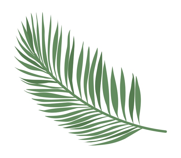 벡터 palm_leaf