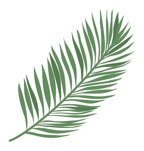 벡터 palm_leaf