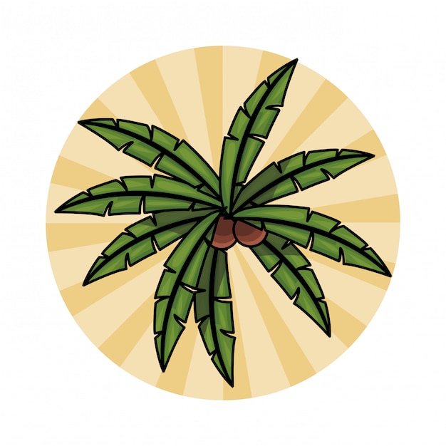 Вектор Пальмовые листья значок