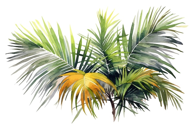 Palm leaves nature botanical decorative collection Vector illustration isolated collection tropical leaf set