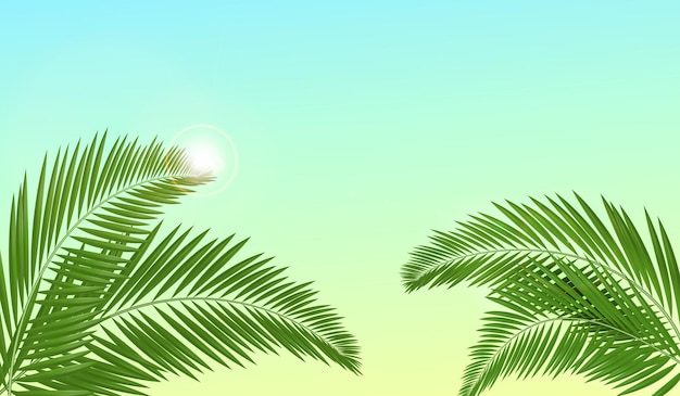 Palm leaves tropical background