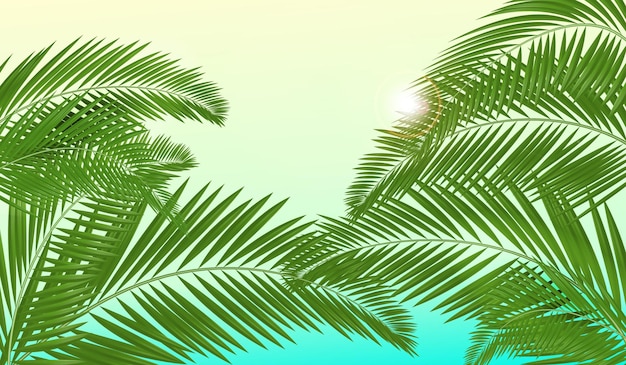 Vettore palma lascia sfondo tropicale