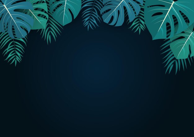 Palm and monstera leaves natural summer background