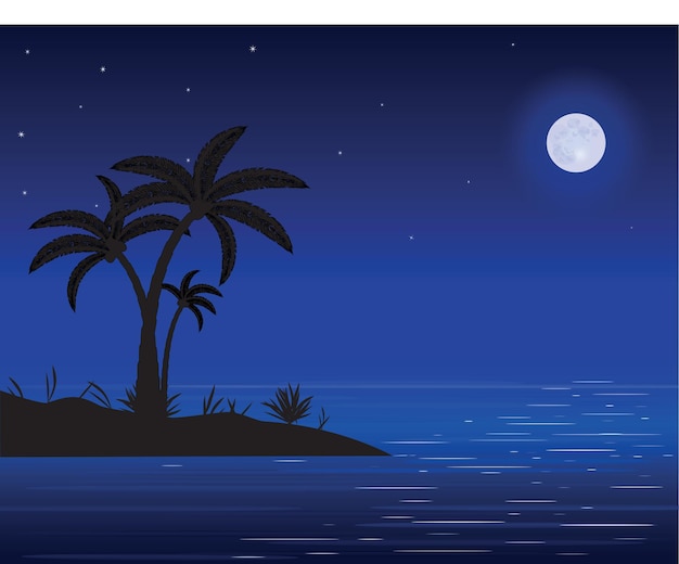 palm night