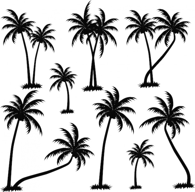 Vector palm silhouetten