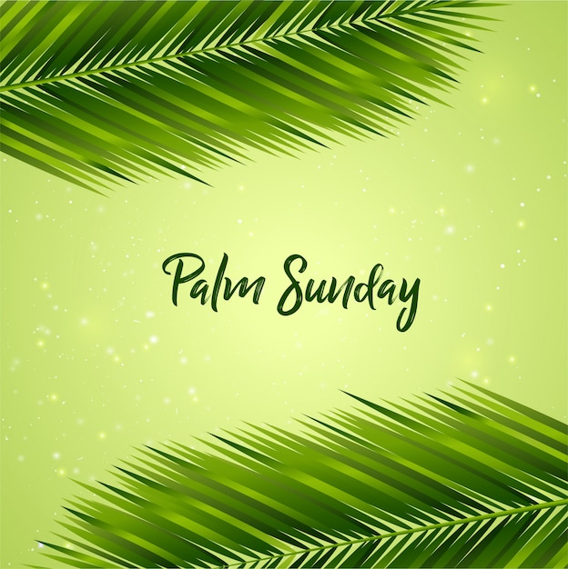 Palm sunday background