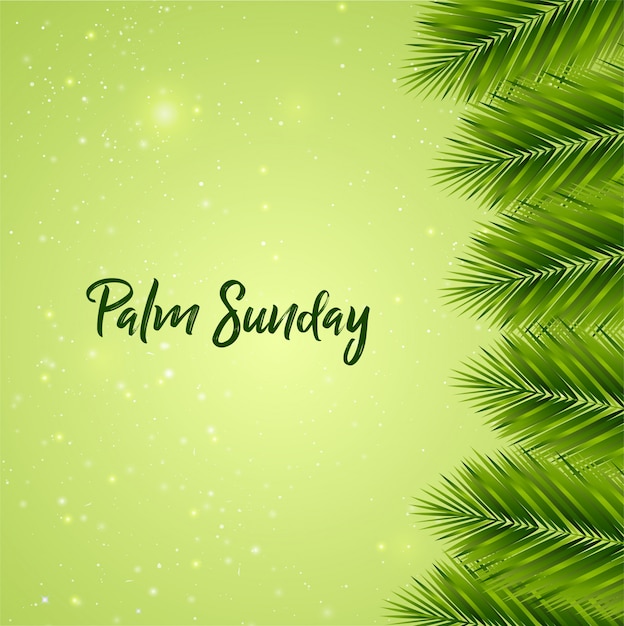 Vettore sfondo di domenica delle palme