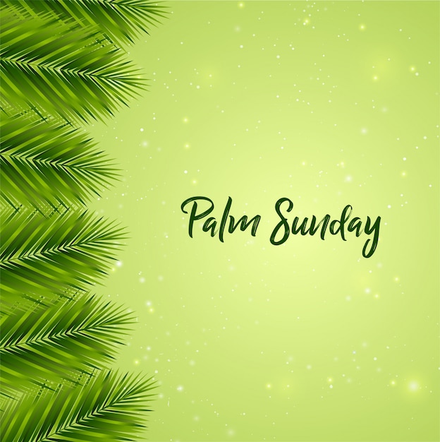 Vector palm sunday background