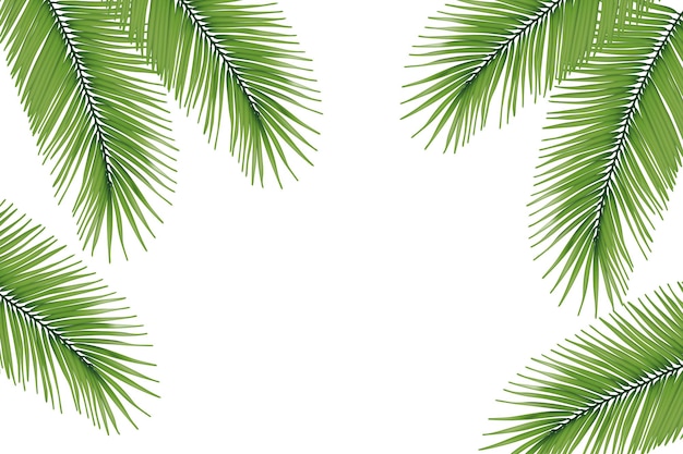 Palm Sunday greeting banner template for Christian holiday with palm tree leaves background