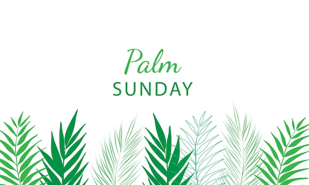 Vector palm sunday  greeting banner template for christian holiday with palm tree leaves background