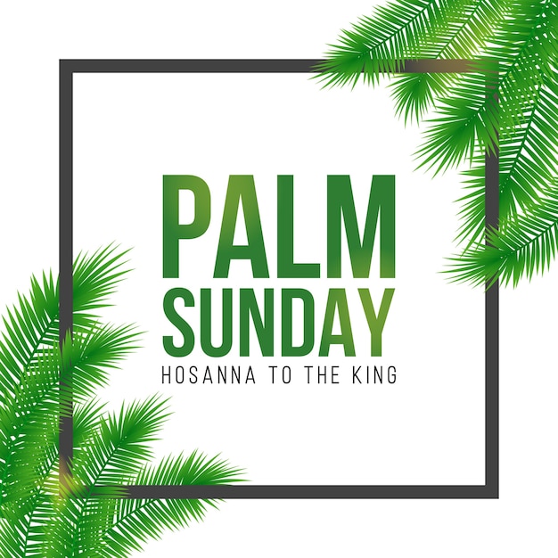 Vector palm sunday holiday card, poster with realistick palm leaves border, frame.  background.