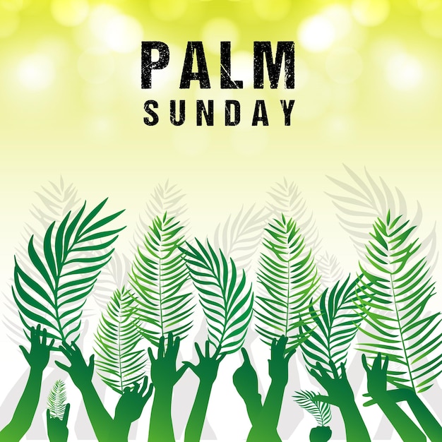 Palm sunday vector illustration background it is suitable for card banner or poster