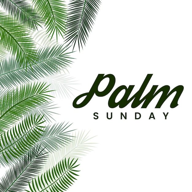 Palm sunday vector image with one side palm leaf border