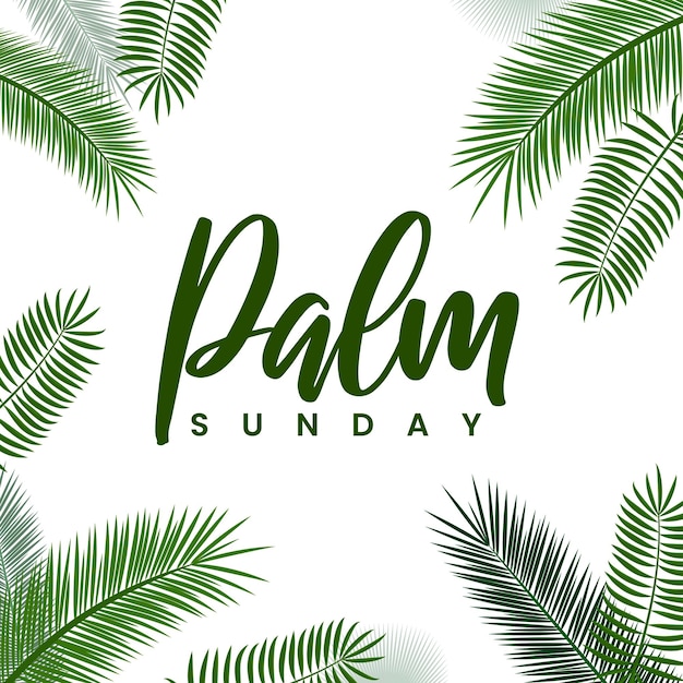 Immagine vettoriale della domenica delle palme con foglia di palma su sfondo bianco