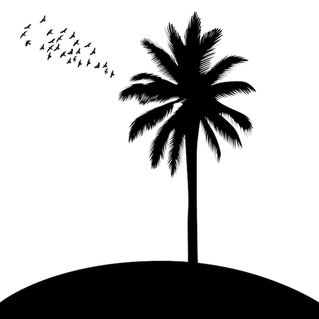 Palm tree black silhouette on white background isolated vector