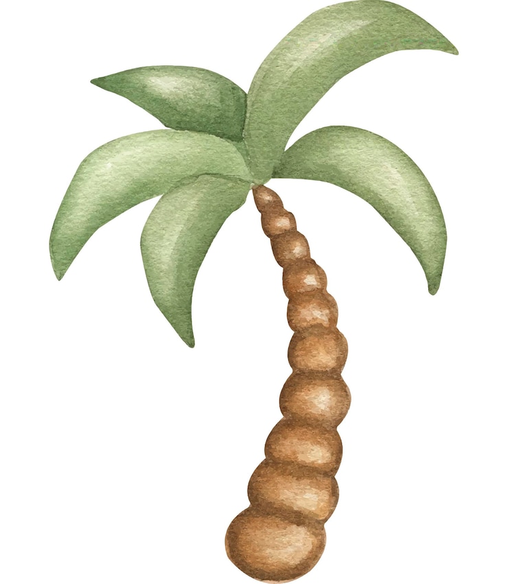 Vector palm tree children's watercolor illustration