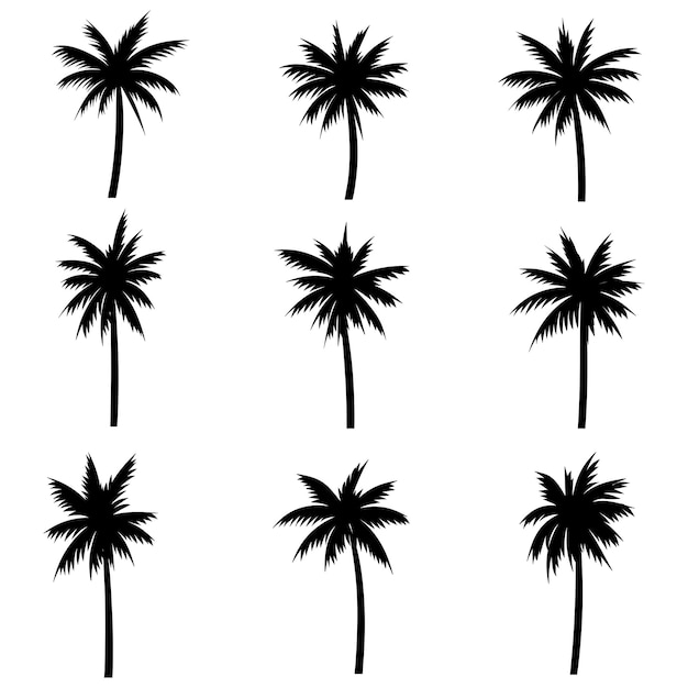 Vector palm tree coconut silhouette set collection
