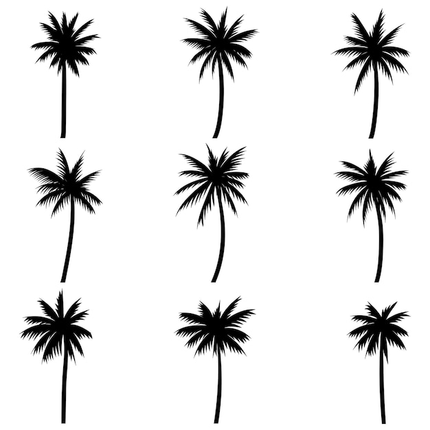 Vector palm tree coconut silhouette set collection