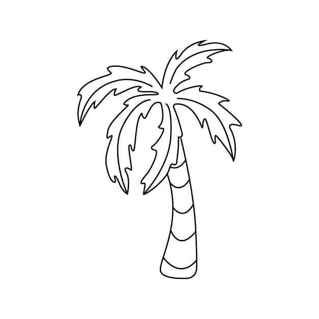 Premium Vector | Palm tree in doodle style