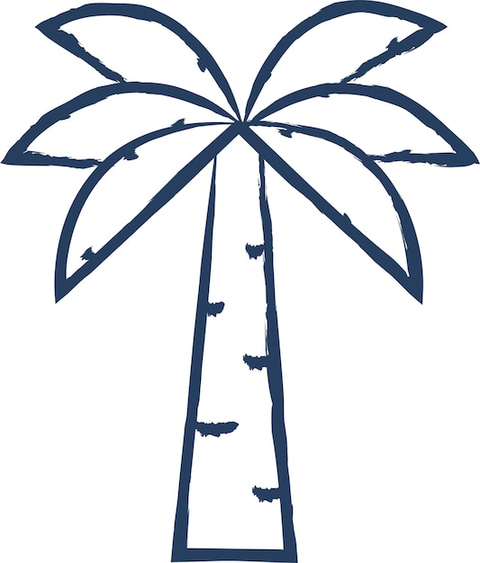 Palm tree hand drawn vector illustration