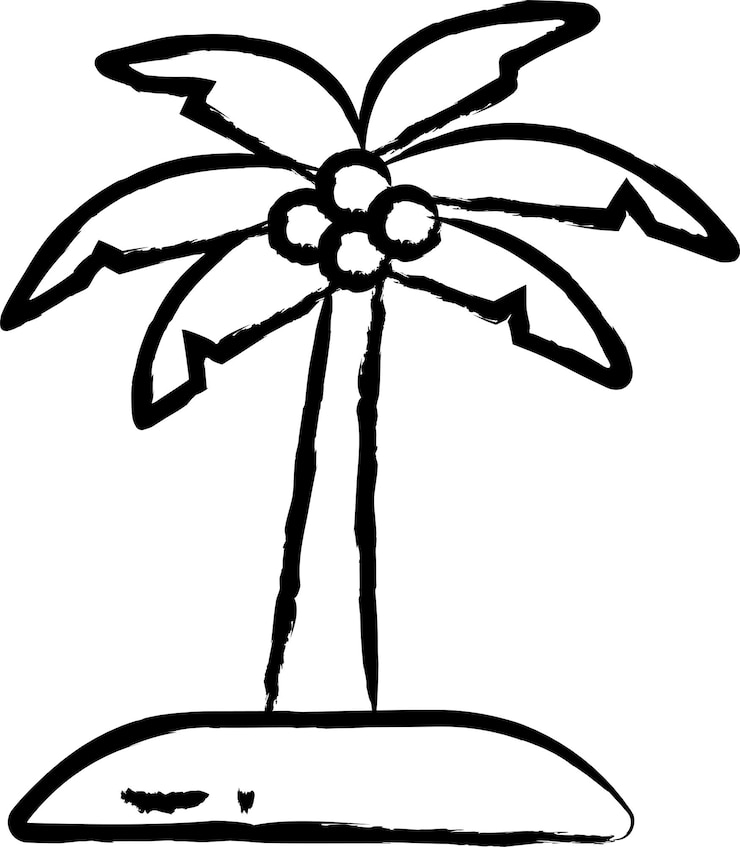 Vector palm tree hand drawn vector illustration