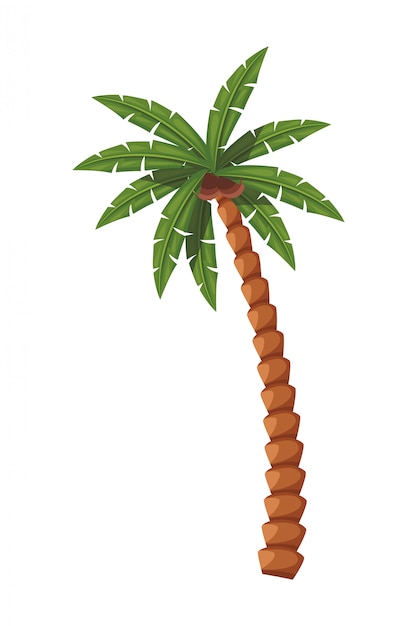 Palm tree icon