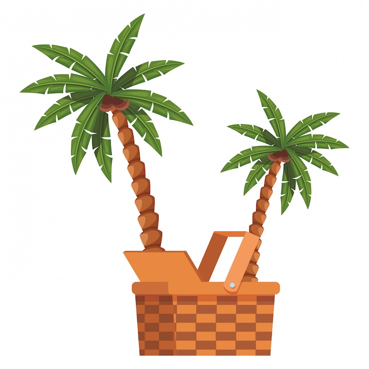 Vector ヤシの木のアイコン