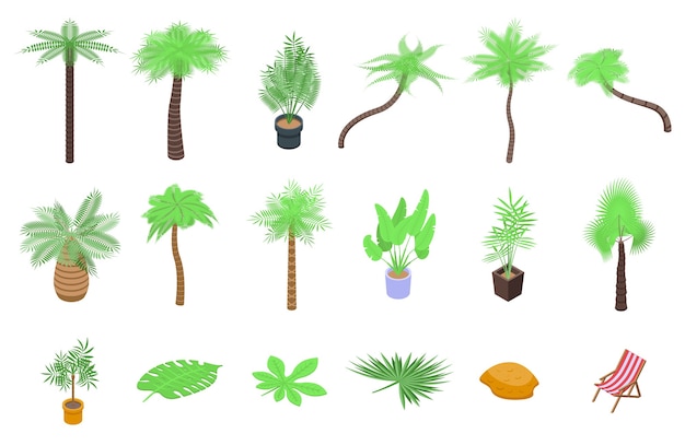 Palm tree icons set. Isometric set of palm tree  icons for web  isolated on white background