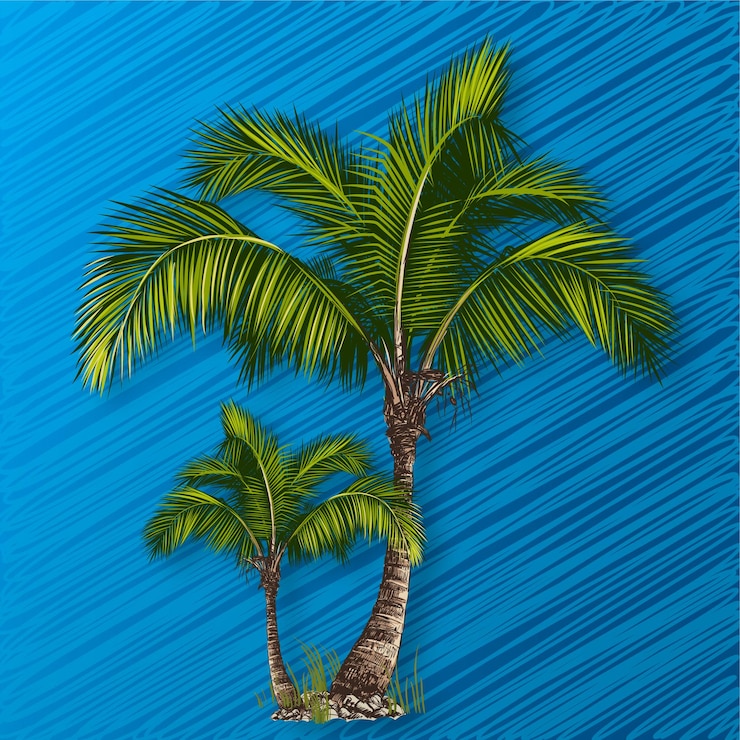 Vector ヤシの木のイラスト