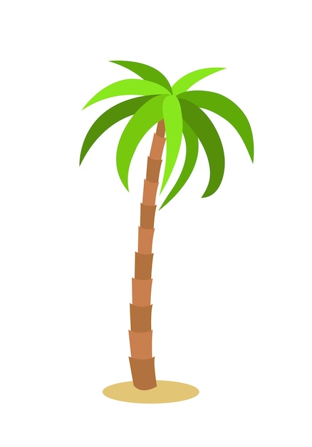 Palm tree. Isolated icon on white background. Vector illustration.