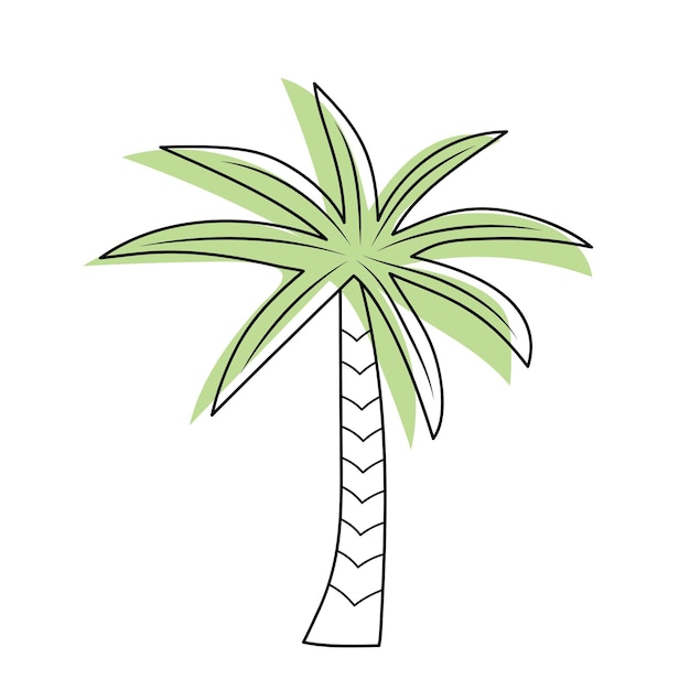 Пальма, изолированные на белом фоне