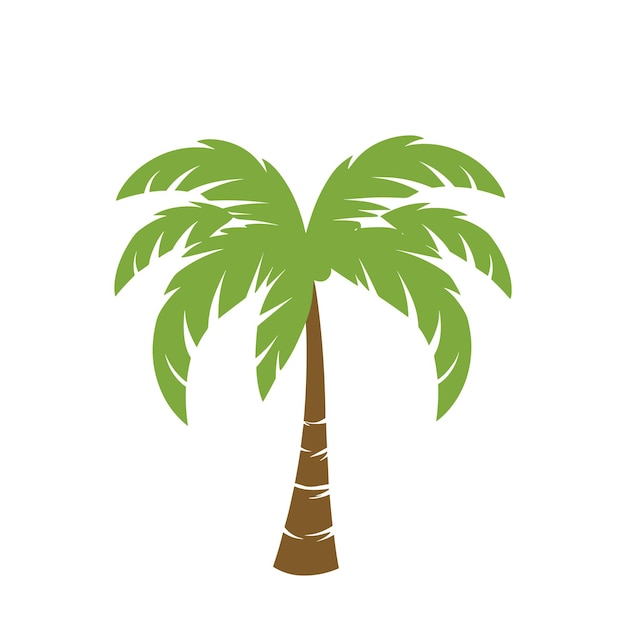 palm tree isolated on white