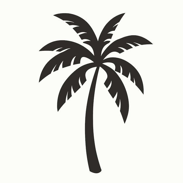 palm tree isolated on white