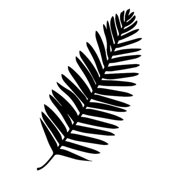 Palm tree leaf silhouette Vector illustration