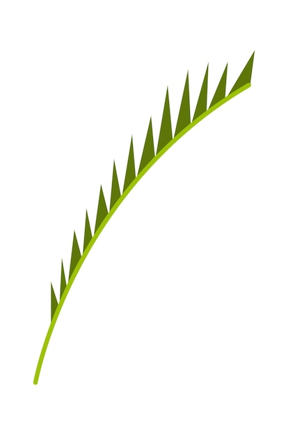 Palm Tree leaf Vector illustration