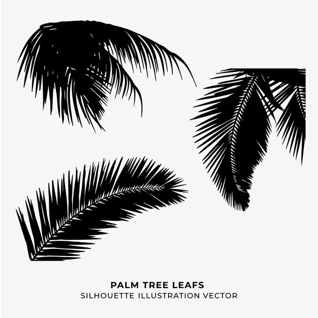 palm tree leafs vector illustration